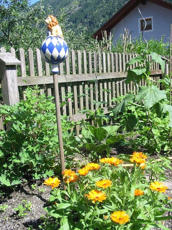 Ferienwohnung Am Pflanzgarten Ebensee Dış mekan fotoğraf