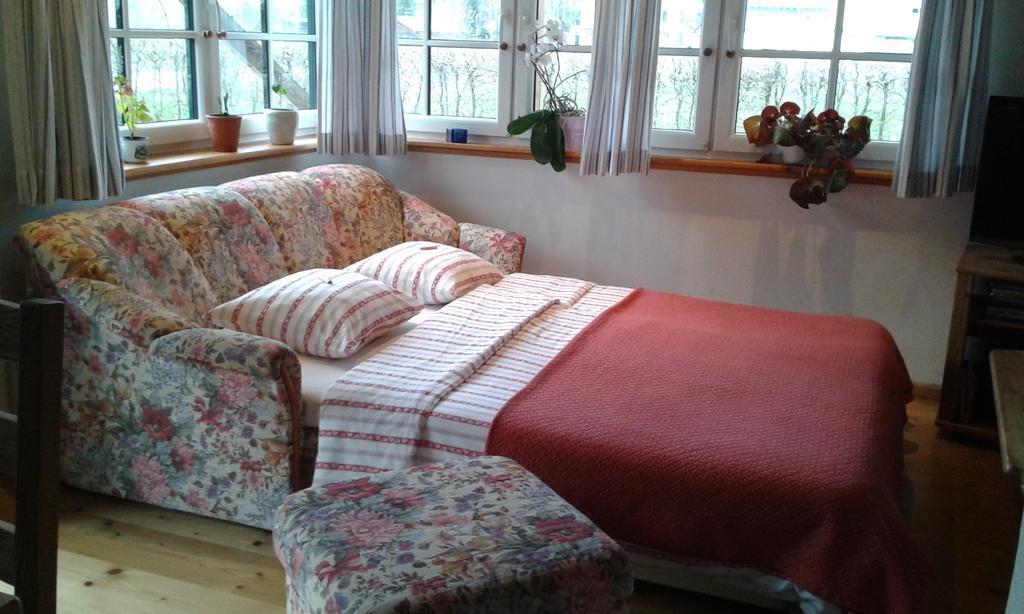 Ferienwohnung Am Pflanzgarten Ebensee Dış mekan fotoğraf
