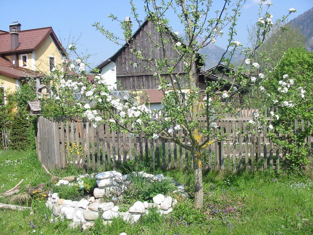 Ferienwohnung Am Pflanzgarten Ebensee Dış mekan fotoğraf